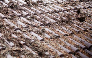 Tadlow roof cleaning companies